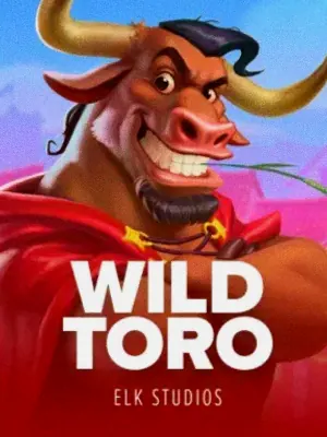 Wild Toro at A Big Candy